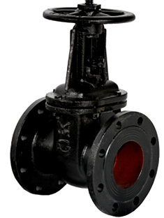 Cast iron gate valve 30ch6br LAZ Du50-400 - фото - 3
